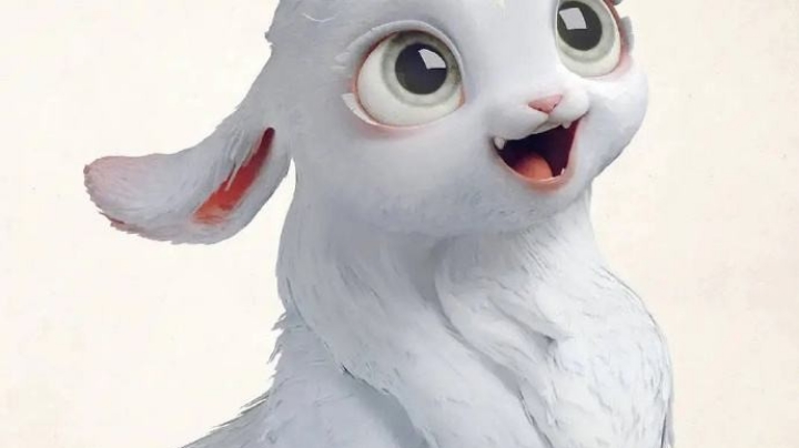 娱乐主播的梦想