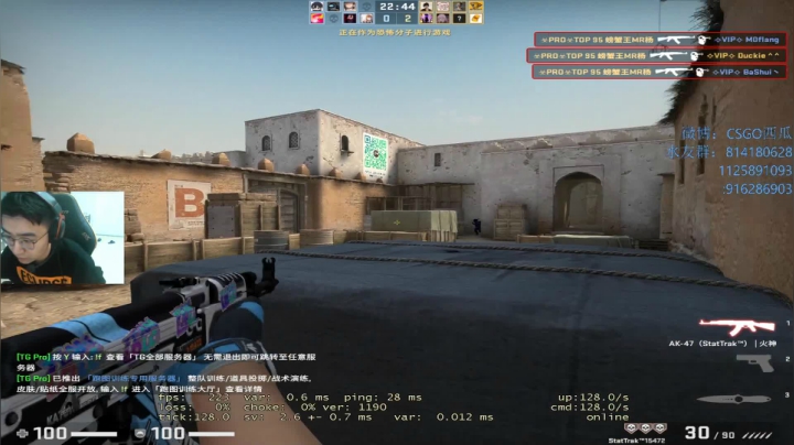 【2020-11-14 19点场】CSGO西瓜：西瓜：CAL上上分丶