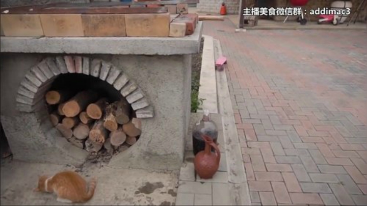 【美食】屎马蛋的精彩时刻 20201118 09点场