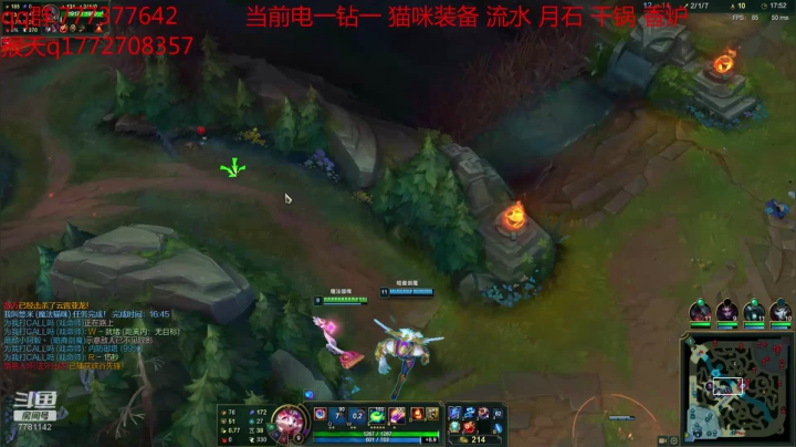 【2020-11-17 17点场】猫王悠米：与你携手探索新版猫咪