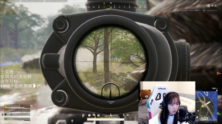 【2020-11-17 20点场】紫琪儿小波霸：紫琪:沃氏泥椰椰