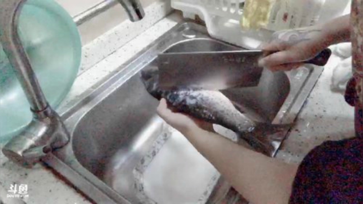 我在斗鱼看2B不过红姐直播户外