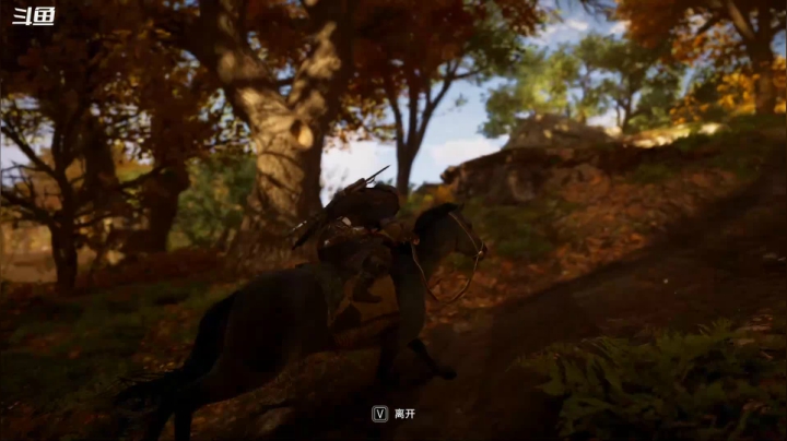 【2020-11-15 20点场】肖雕：斗鱼第一值得关注的主播