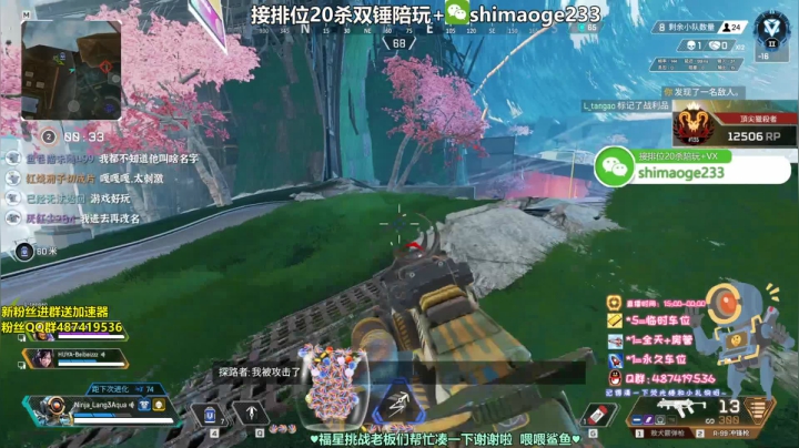 【2020-11-14 07点场】风神丷：猎杀排位 帮打排位徽章 不懂就问