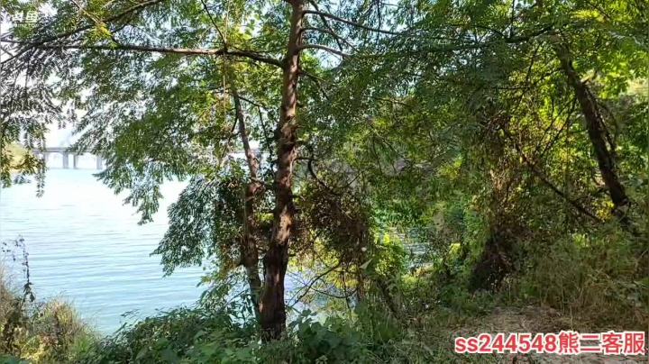 【2020-11-19 12点场】叶子户外：彩云之南，去大理途中