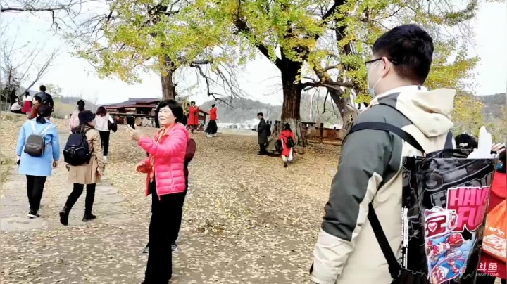 【2020-11-19 13点场】正能量星球：畅游大荆楚 跟“鄂”来打卡
