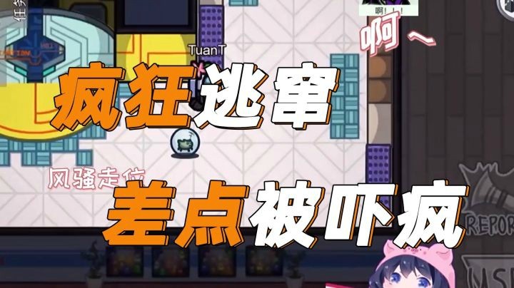 【一条小团团】久违的猪叫~