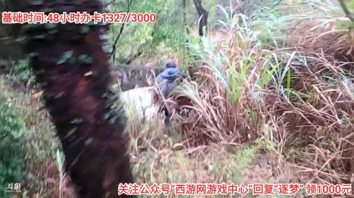 【2020-11-20 15点场】逐梦兄弟：《海岛对抗》Day2 5025477