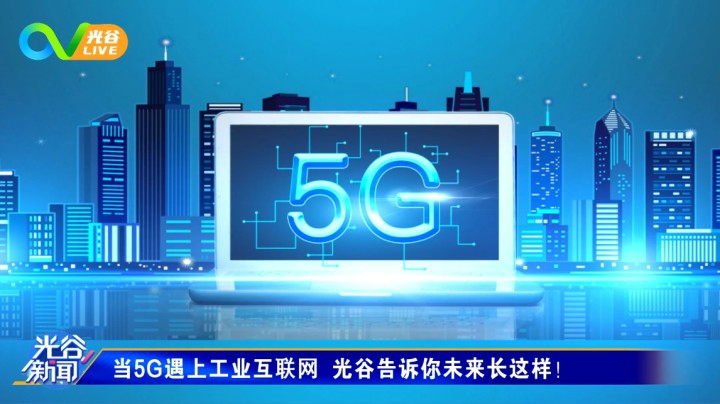 第十九周光谷新闻-周五版1120