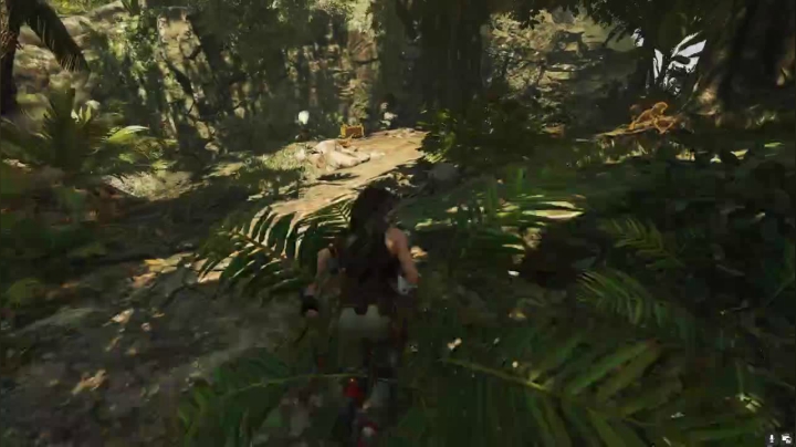 【2020-11-19 21点场】啊城解说：【啊城解说]玩新游戏