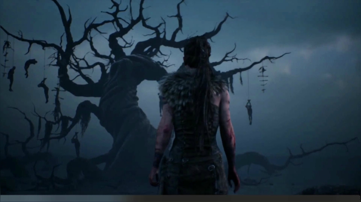 【兔了了游戏CG系列】：hellblade