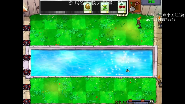 【2020-11-20 20点场】帅帅的老翔翔：介不是植物大战僵尸の神吗