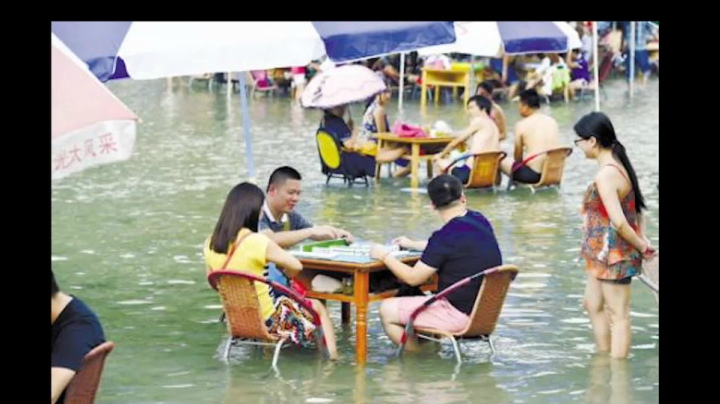 【2020-11-15 09点场】史维佳：刚刚开始了