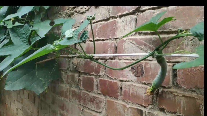 【2020-11-14 03点场】史维佳：刚刚开始了