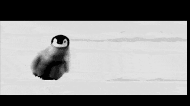 【2020-11-15 01点场】史维佳：刚刚开始了