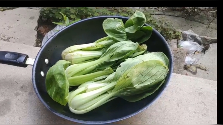 【2020-11-20 00点场】史维佳：刚刚开始了