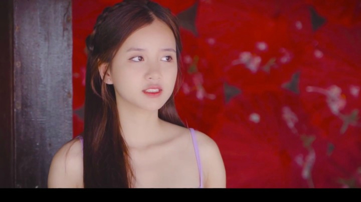庞龙《两只蝴蝶》