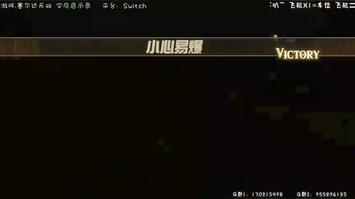 塞尔达无双 灾厄启示录11