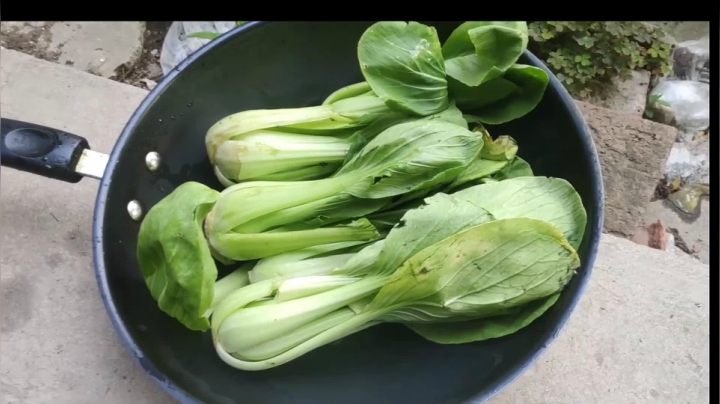 【2020-11-19 12点场】史维佳：刚刚开始了