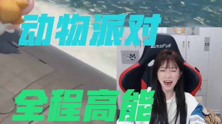 全程高能！AMS的动物派对
