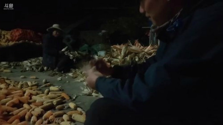 【户外】叶子户外的精彩时刻 20201123 02点场