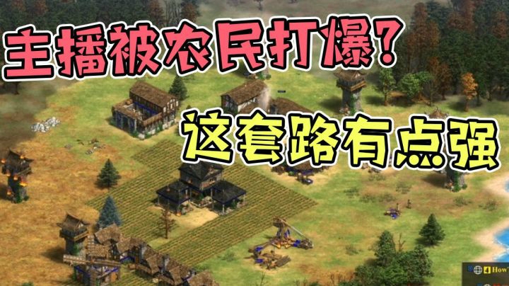 帝国时代2：不用一个兵，主播被对手用农民打爆？这个套路太强了