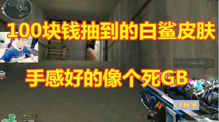 CF100块抽的白鲨天龙皮肤手感好的像个死GB