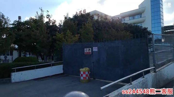 【2020-11-24 09点场】叶子户外：和灵魂刀神嗯徒第3天