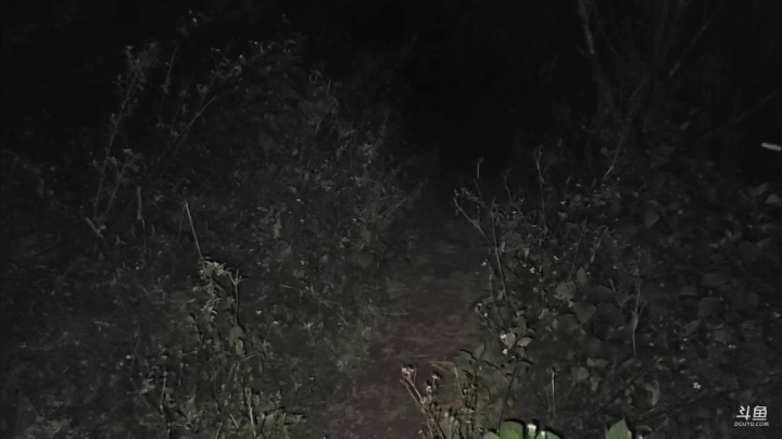 【2020-11-24 18点场】叶子户外：和户外新主播嗯徒第4天