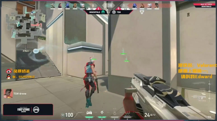 【2020-11-23 18点场】风暴奶爸Nai8：解说FS北美TSM vs IMT