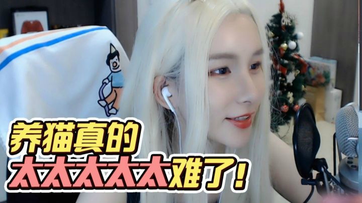 养猫的崩溃瞬间