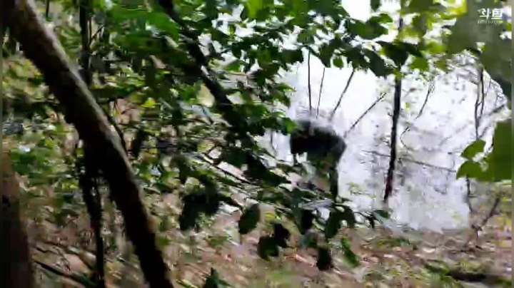 【2020-11-25 12点场】魅力生活i：下雨天继续挖冬笋