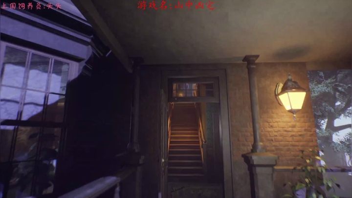 【2020-11-23 16点场】七潇丷：直播,恐怖！悬疑！刺激！