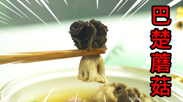 单价超过万元一斤的蘑菇？试吃来自新疆的珍馐巴楚蘑菇，它的味道到底怎么样？？