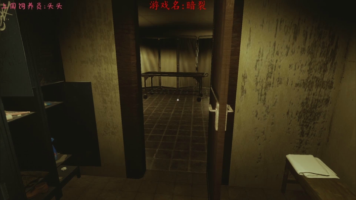 【2020-11-23 14点场】七潇丷：直播,恐怖！悬疑！刺激！