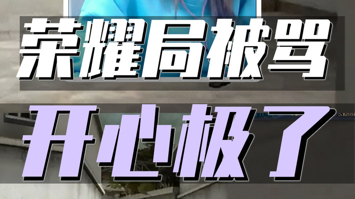 越骂我，我越开心