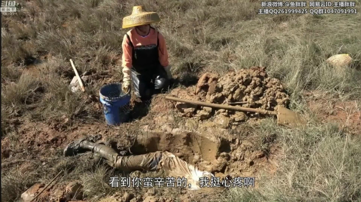 【2020-11-25 03点场】胖胖灬：胖胖OB：Tes\SN\神\转会期