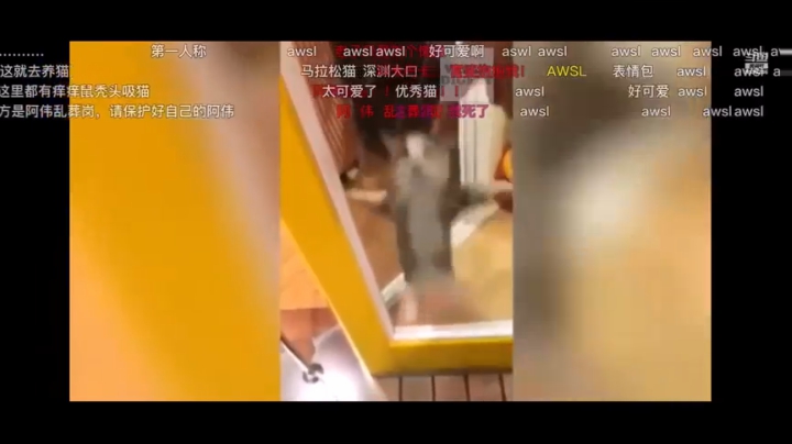 【2020-11-23 20点场】凌月电竞888：心里下了一场雨 观单 ！柿子树