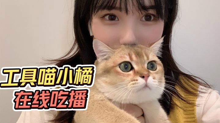 小橘在线抢食，这猫咋这么能吃！奈斯：不敢说话