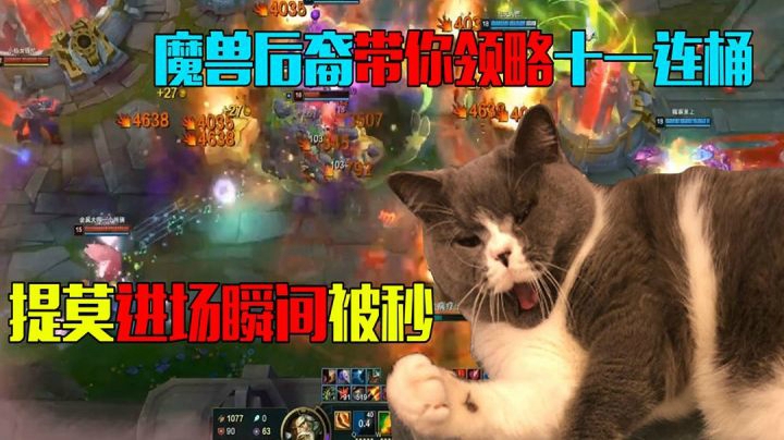 魔兽后裔带你领略十一连桶，提莫进场瞬间被秒