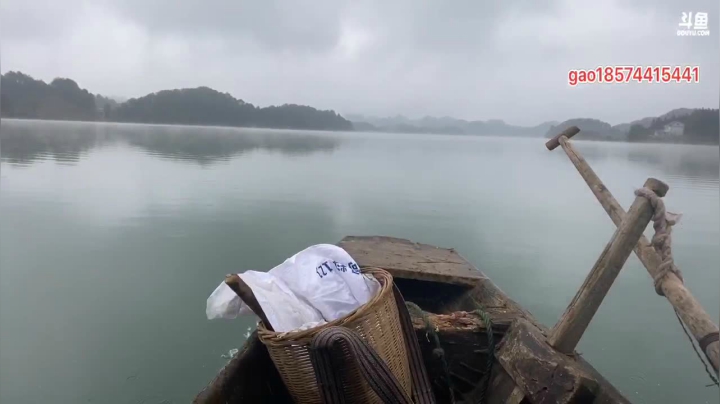 【2020-11-25 11点场】魅力生活i：下雨天继续挖冬笋