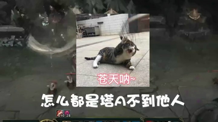 【叶音符搞笑集锦】第五期：A人哪有A塔好玩
