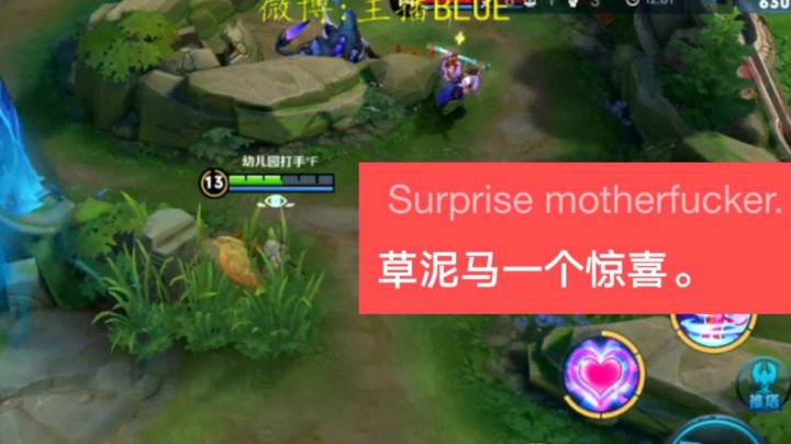 长达一个世纪的蹲人教学！教你如何当草丛biao~