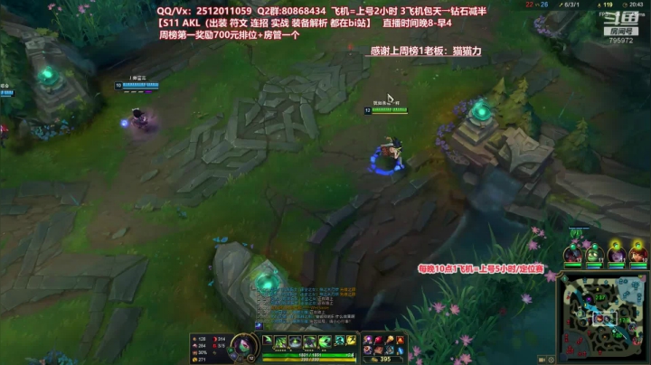 【2020-11-25 22点场】Akl托尼老师：世界顶尖阿卡丽：S11最新版本/讲解教学