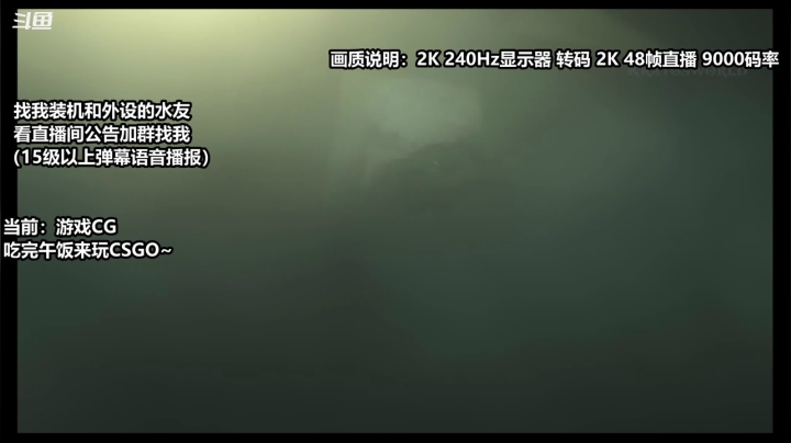 【2020-11-26 11点场】老朱Zuriel739：【2k 240h画质】CSGO