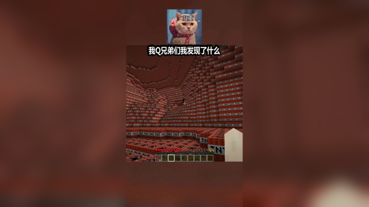 不是吧不是吧，这个小黑也太傻了吧