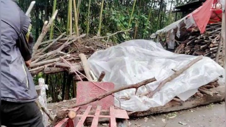 【户外】许文强户外的精彩时刻 20201126 12点场