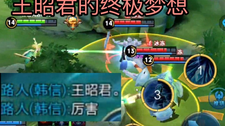 王昭君的终极梦想！队友都忍不住夸奖 太厉害了