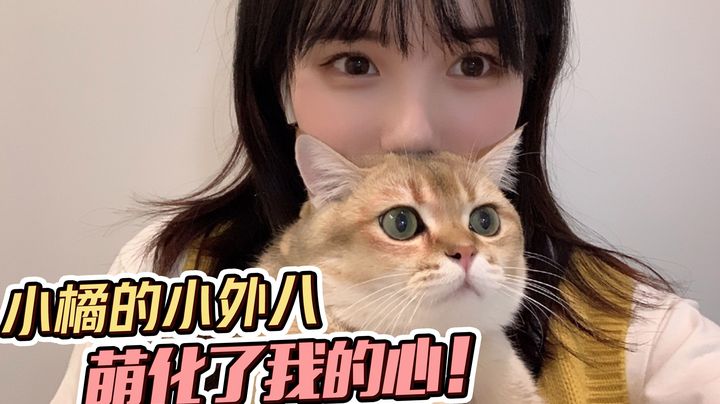 猛男必看！猫猫想吃零食竟对主人做出这事！萌化了！