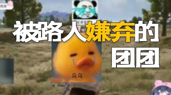 【一条小团团】日常心碎~~